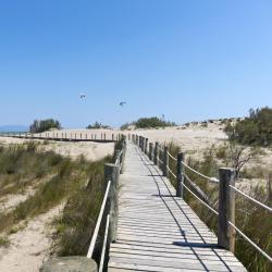 Delta de l'Ebre