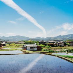 大分县 125家日式旅馆