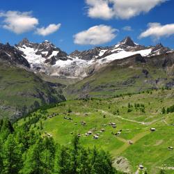 瑞士阿尔卑斯山 20家豪华帐篷营地