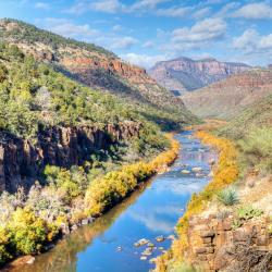 Tonto National Forest