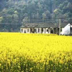 江西 3家住宿加早餐旅馆