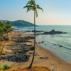 North Goa 245家度假村