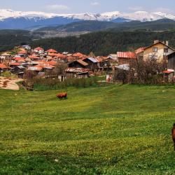 Rhodope Mountains 166家旅馆