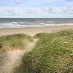 荷兰海岸 30家度假园