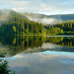 Harz 5家露营地