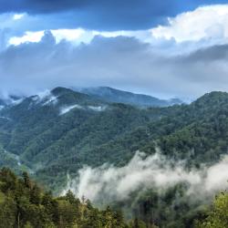 Great Smoky Mountains 3家小屋
