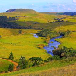South Brazil