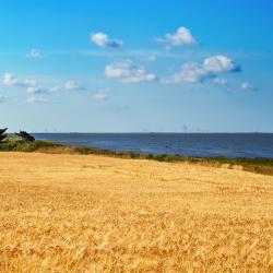 Wadden Sea National Park 3家青旅