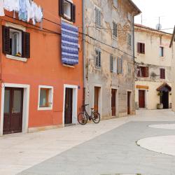Umag Countryside