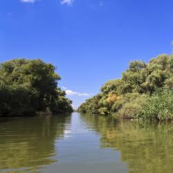 Danube Delta 3家山林小屋