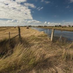 Vendée 16家度假村