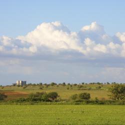 Bari Province
