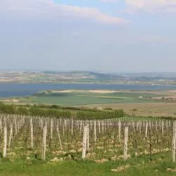 South Moravia 3家小屋