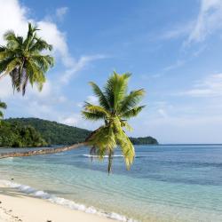 斐济外岛 24家海滩短租房