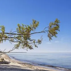 Fischland-Darß-Zingst 3145家度假短租房