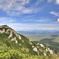 Gorski kotar 157家公寓