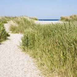 Fehmarn 1018家度假短租房