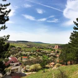 Pernik Province  4家ä½å®¿åŠ æ—©é¤æ—…é¦†