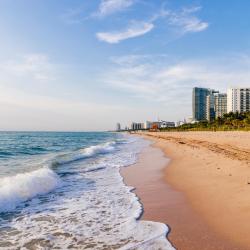 Florida Gulf Coast