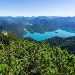 Walchensee 6家滑雪度假村