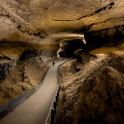 Mammoth Cave National Park
