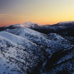 大雪山 4家公寓式酒店