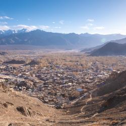 Leh Ladakh 16家露营地