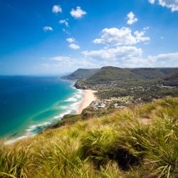 南海岸（新南威尔士州） 2386家度假屋