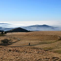 Rhön