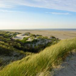 Borkum Island