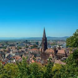 Münsterland
