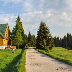 Szklarska Poręba Region 45家浪漫度假酒店