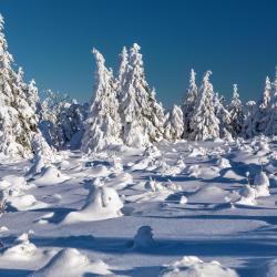 Jizera Mountains 716家带停车场的酒店