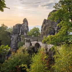Saxon Switzerland 1229家