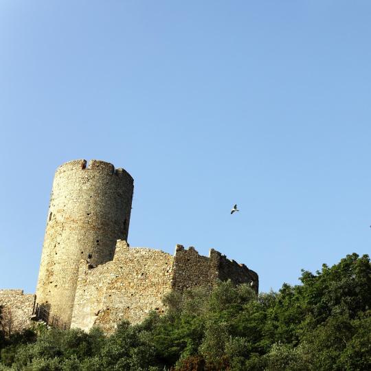 卡塔尼亚乌尔西诺城堡