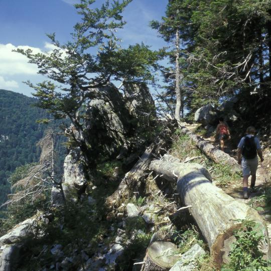 克莱斯特徒步道美景