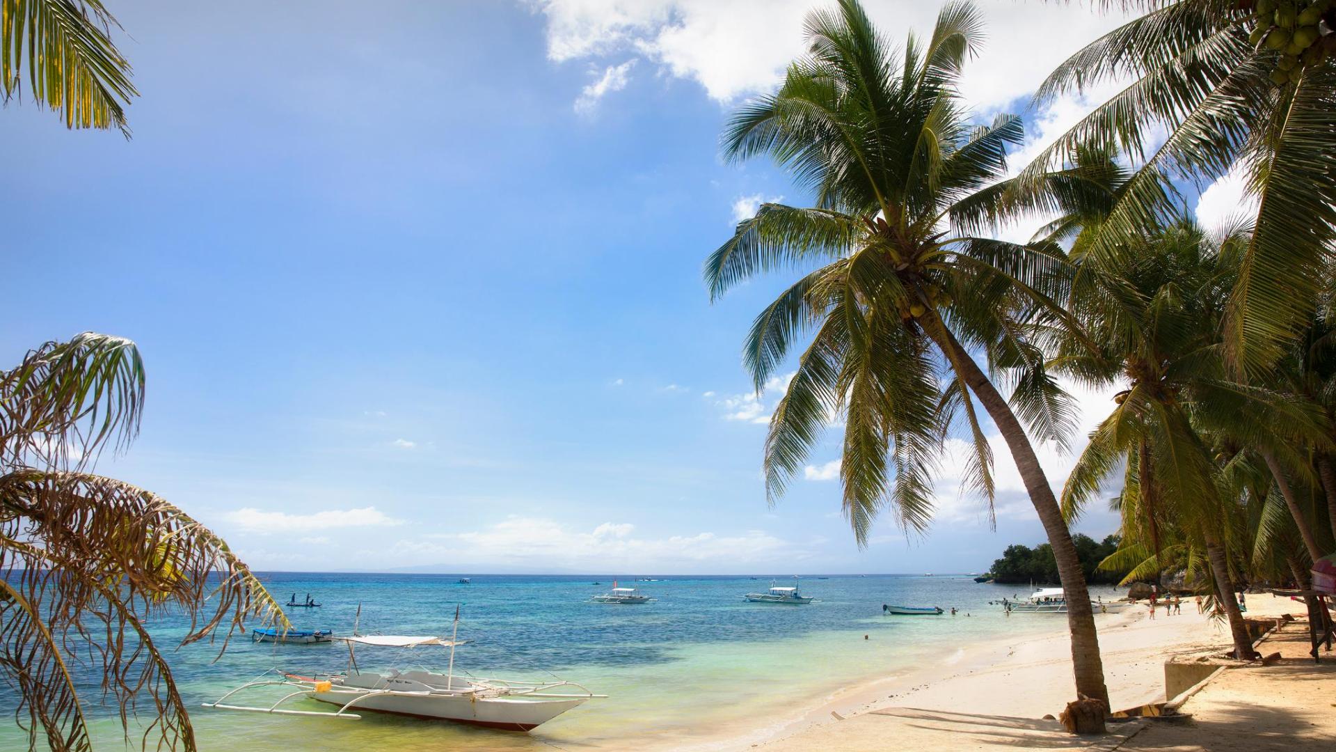 0沙滩非常好556条住客点评查看附近住宿长滩岛65 菲律宾迪尼维德