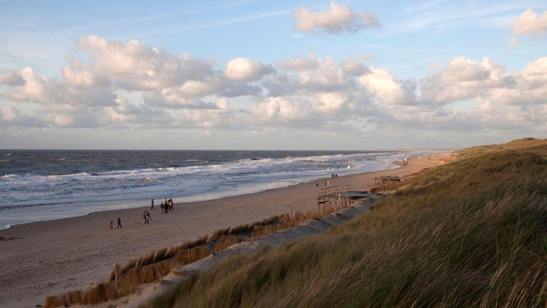 夏日的卡兰苏格海滩(callantsoog beach) - 全球精彩海滩目的地之一