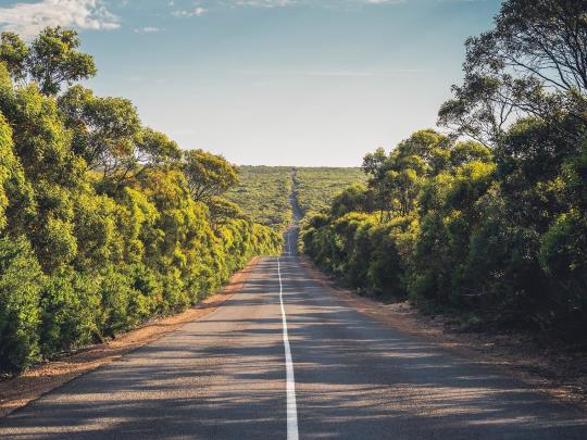 澳大利亚适合家庭出游的五大公路游路线